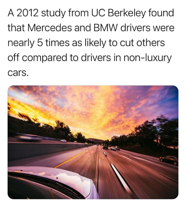 random facts, weird facts