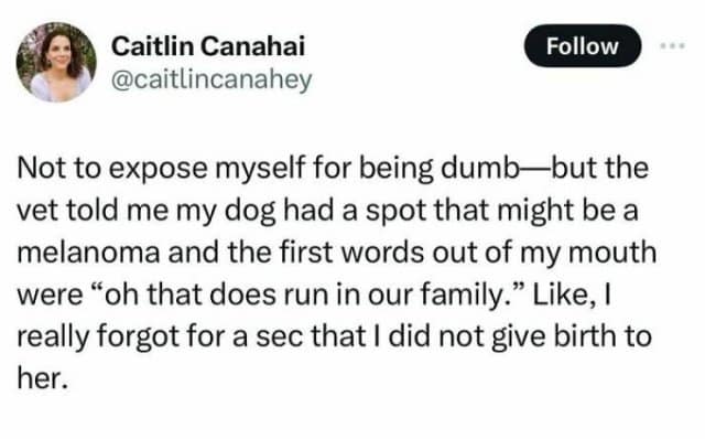 relatable memes, Funny Memes, Hilarious Memes, Amusing Memes