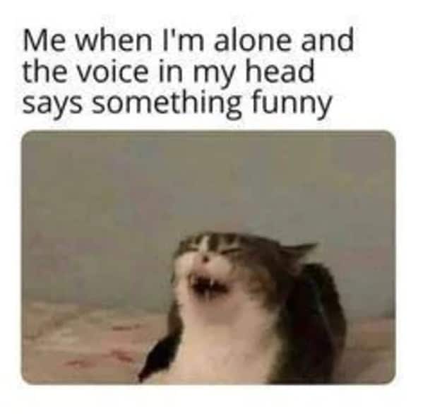 relatable memes, Funny Memes, Hilarious Memes, Amusing Memes