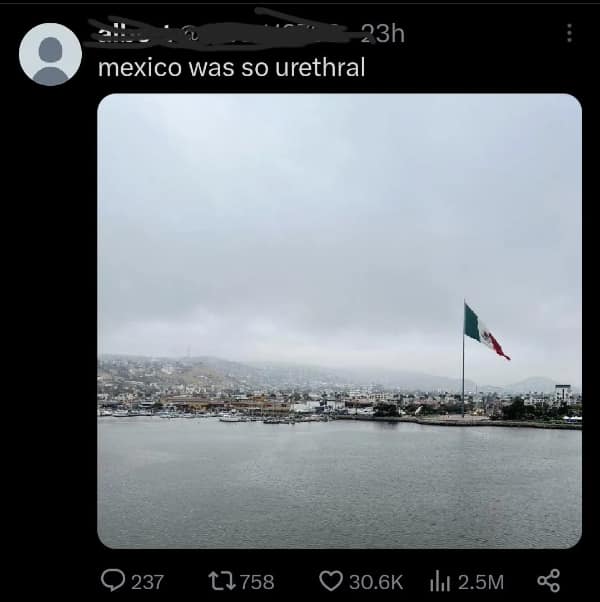 words used wrong.