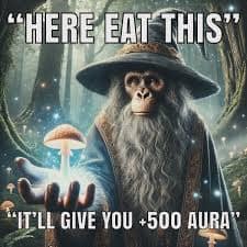 aura points memes, aura memes, aura meme, aura points meme template, aura meme, good aura, bad aura, positive aura, negative aura