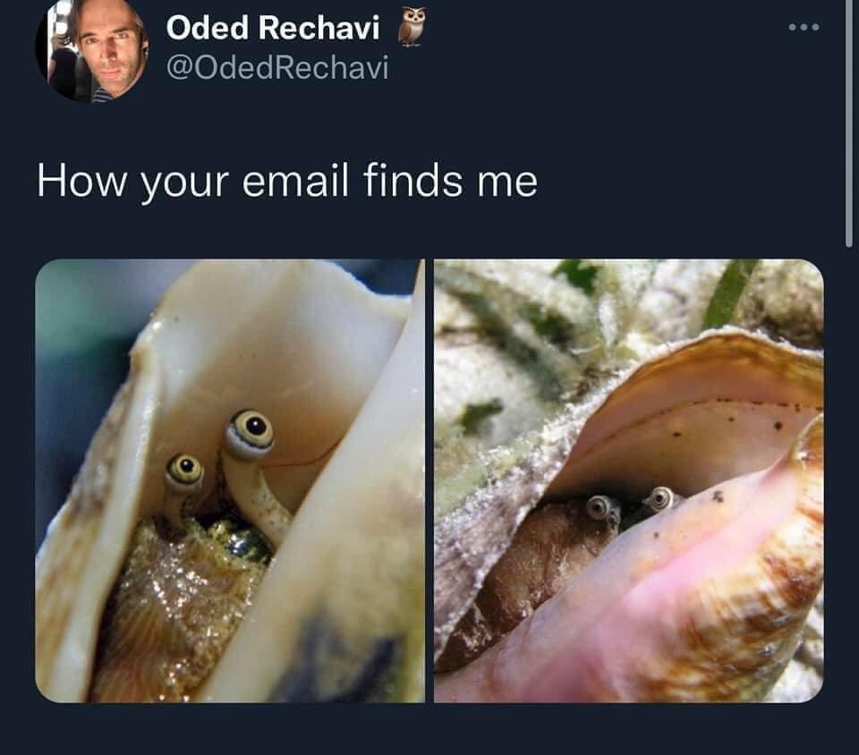 classic memes, vintage memes, viral tweets, nternet trends, meme culture, social media humor, trending content, subreddits, meme accounts