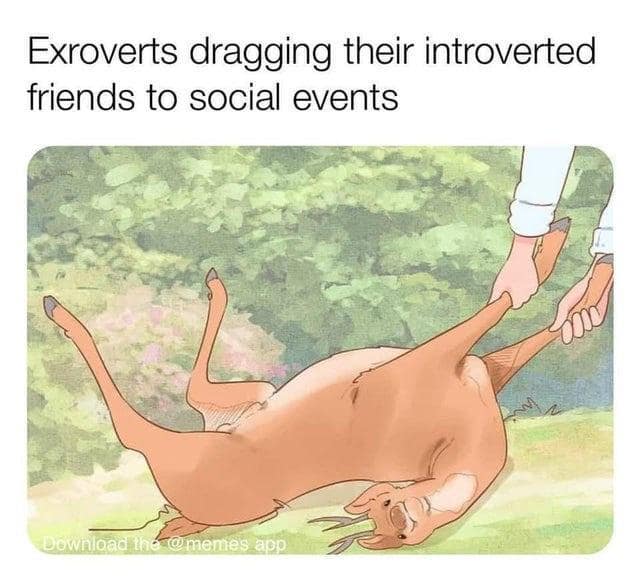 classic memes, vintage memes, viral tweets, vintage internet humor, internet nostalgia, viral sensations, old memes, retro internet jokes, digital throwbacks