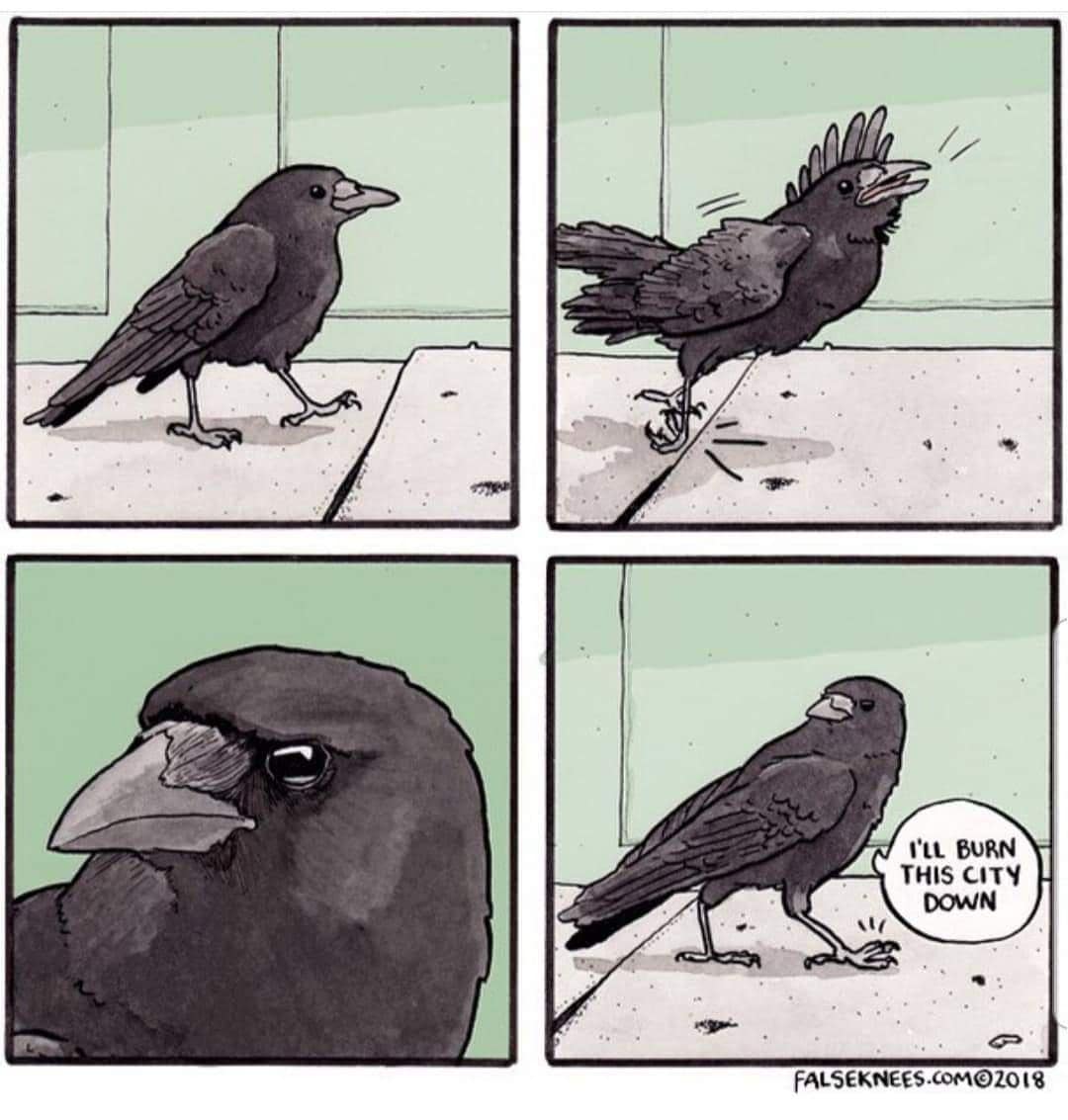 falseknees, falseknees comics, false knees, false knees comics, Webcomics, Surreal humor