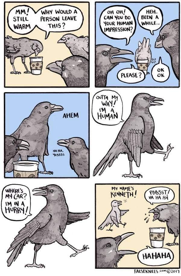 falseknees, falseknees comics, false knees, false knees comics, Webcomics, Surreal humor