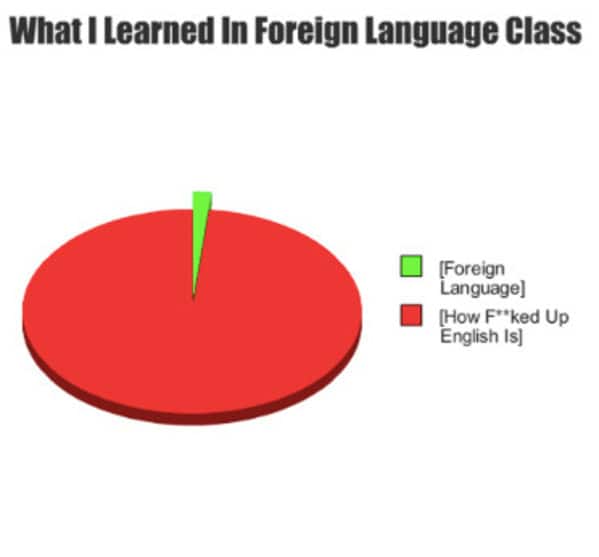 language memes, polyglot memes, multilingual memes, funny language memes, language learning memes, funny foreign language moments, anguage struggles, grammar mistakes humor, translation humor
