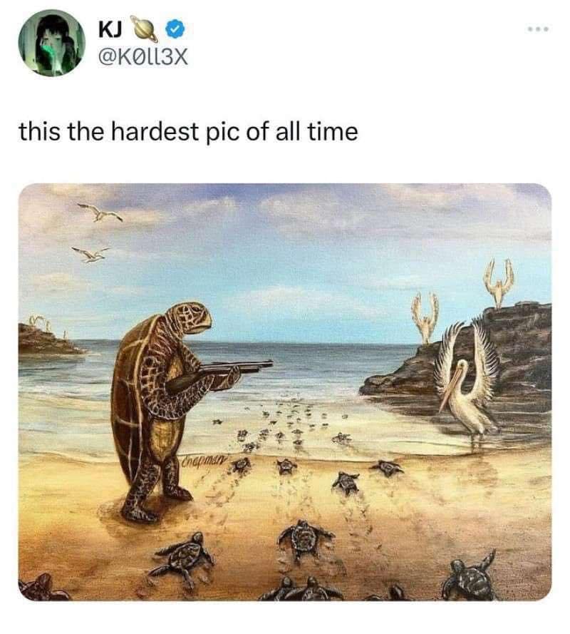 meme dump, hilarious memes, funny memes, lunch break memes, daily laughs, internet comedy, humor compilation, meme buffet, comedy roundup