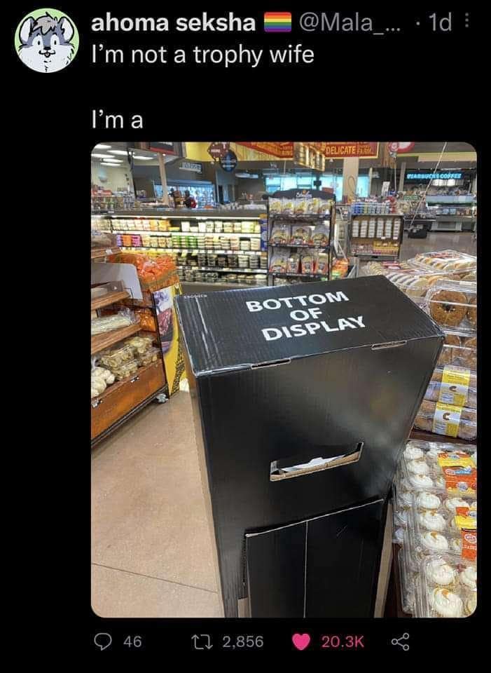 meme dump, funny memes, hilarious memes, lunch break memes, laugh-out-loud memes, amusing memes, midday memes, break time memes
