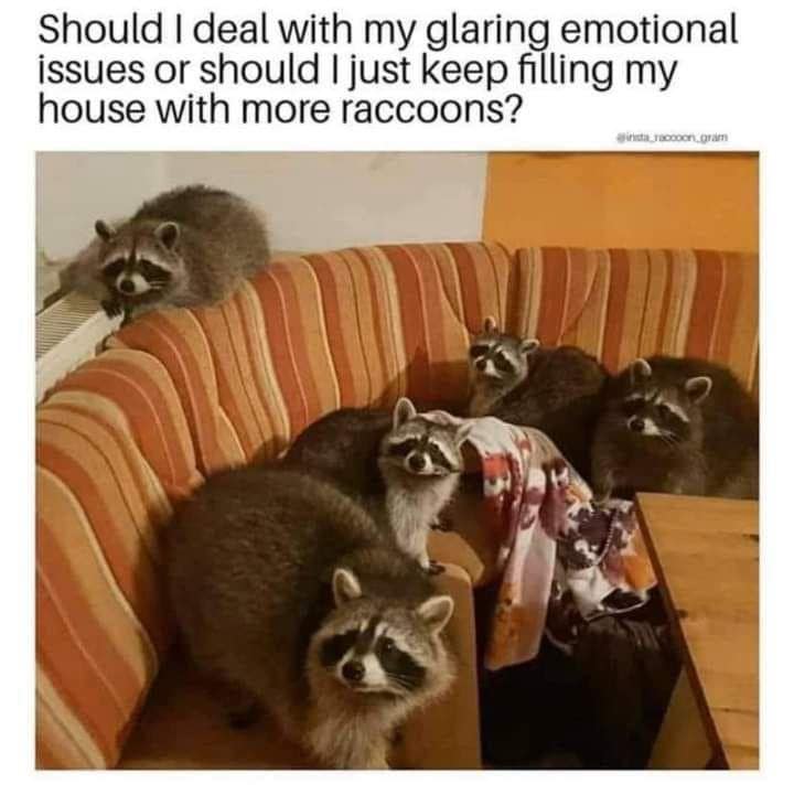 meme dump, funny memes, hilarious memes, funny memes, meme compilation, meme gallery