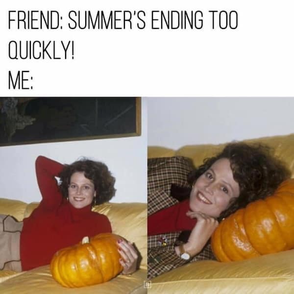 nerd memes, geeky memes, high fantasy enthusiasts, fans of fantasy fiction, science fiction jokes, allusions to sci-fi works