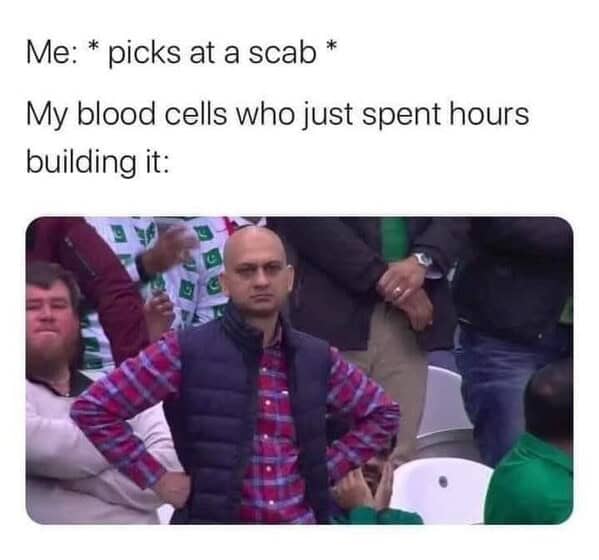 relatable memes, Funny Memes, Hilarious Memes, Amusing Memes