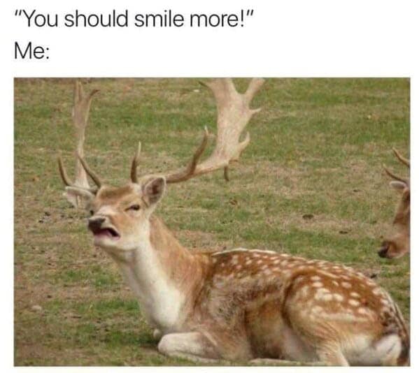 relatable memes, Funny Memes, Hilarious Memes, Amusing Memes