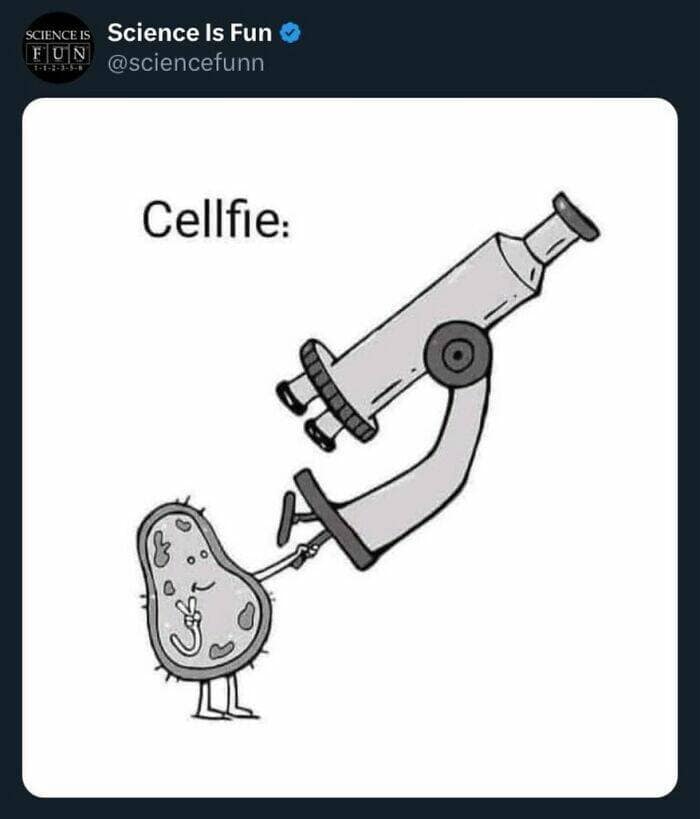 science memes, Funny Science Stuff, Hilarious Lab Antics, Scientific Humor, Nerdy Laboratory Jokes, Science Jokes and Puns, Researcher Riddles