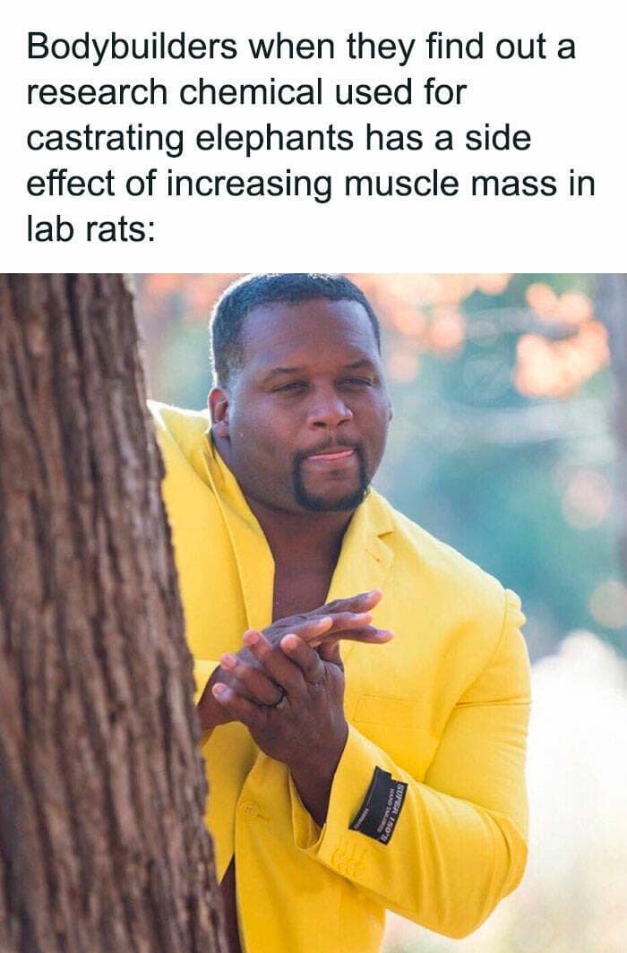 workout memes, gym memes, fitness humor, gym jokes, exercise laughter, exercise memes, fitness funnies, workout humor