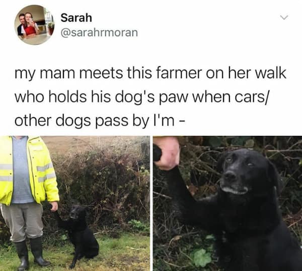 british memes, english wit, British jokes, British comedy, UK jokes, English humor, British banter