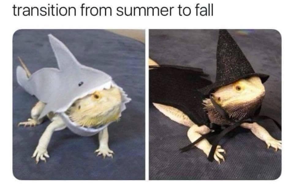 classic memes, vintage memes, viral tweets, Epic Tweets, Legendary Tweets, Funny Throwbacks, Hilarious Nostalgia, Amusing Internet History, Timeless Online Humor, Classic Internet Jokes, Iconic Meme References