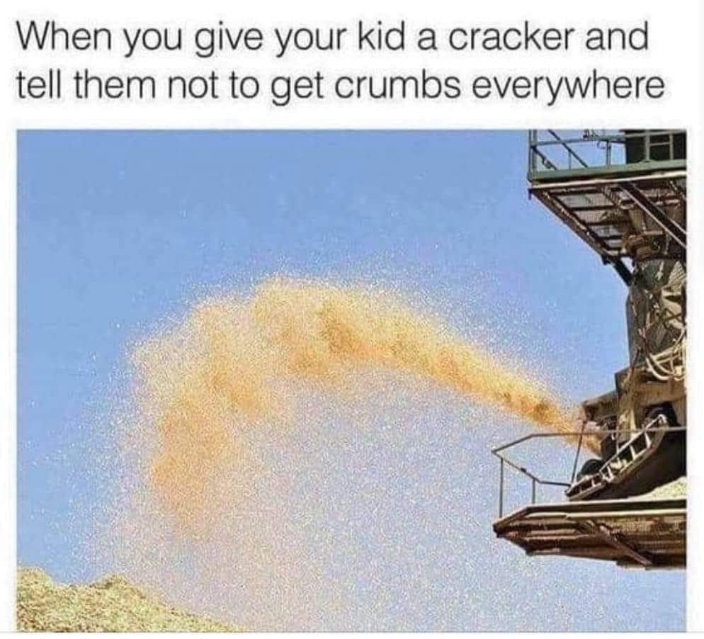 classic memes, vintage memes, viral tweets, timeless memes, viral internet memes, popular tweets,, evergreen memes, viral posts, timeless internet humor