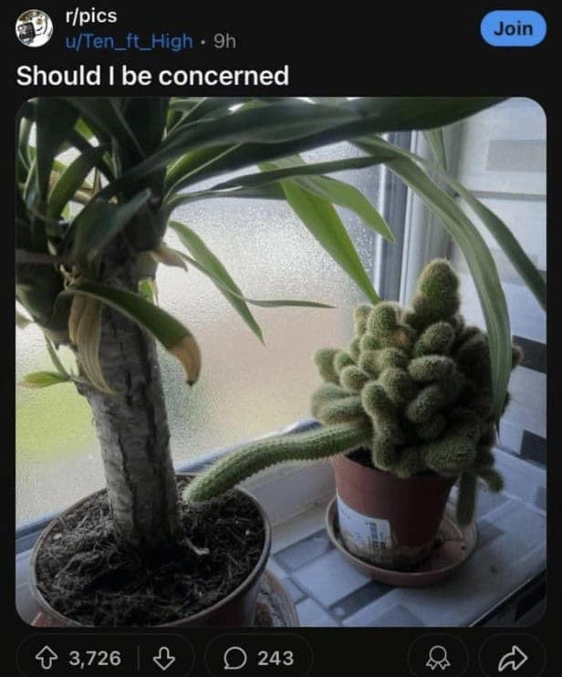 funny reddit posts