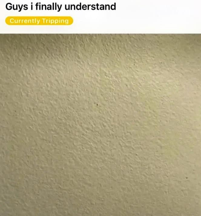 funny reddit posts