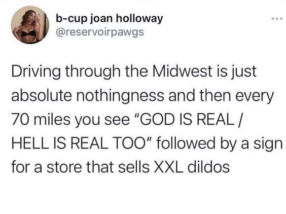 oddly specific memes, niche memes, specific interest memes, obscure online jokes, targeted humor memes