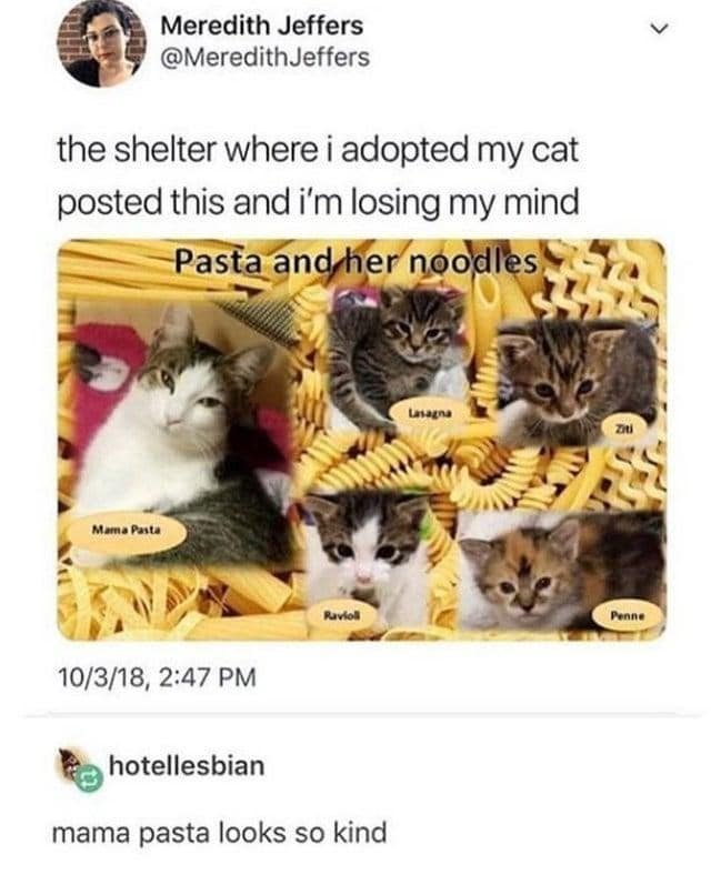 carb jokes, Italian food humor, national pasta day memes, spaghetti memes, mac and cheese memes, Italian cuisine humor, noodle memes, comfort food humor, pasta puns