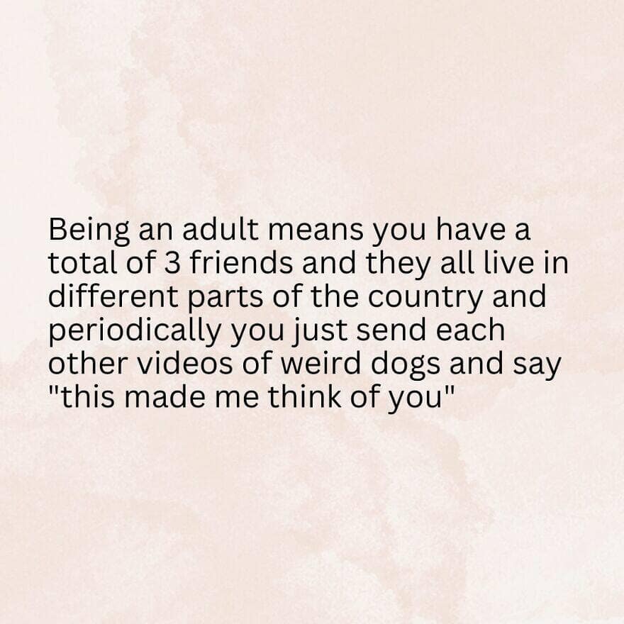 relatable memes, Funny Memes, Hilarious Memes, Amusing Memes