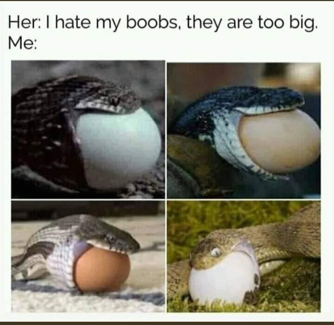 Her: I hate my boobs, they are too big. Me: