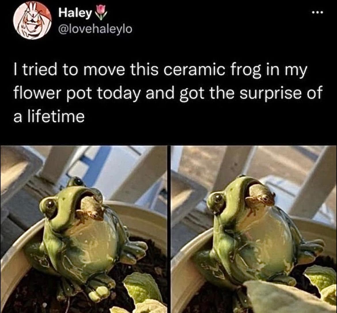 classic memes, vintage memes, viral tweets, timeless memes, old memes, evergreen memes best memes, popular tweets, trending tweets, retro memes
