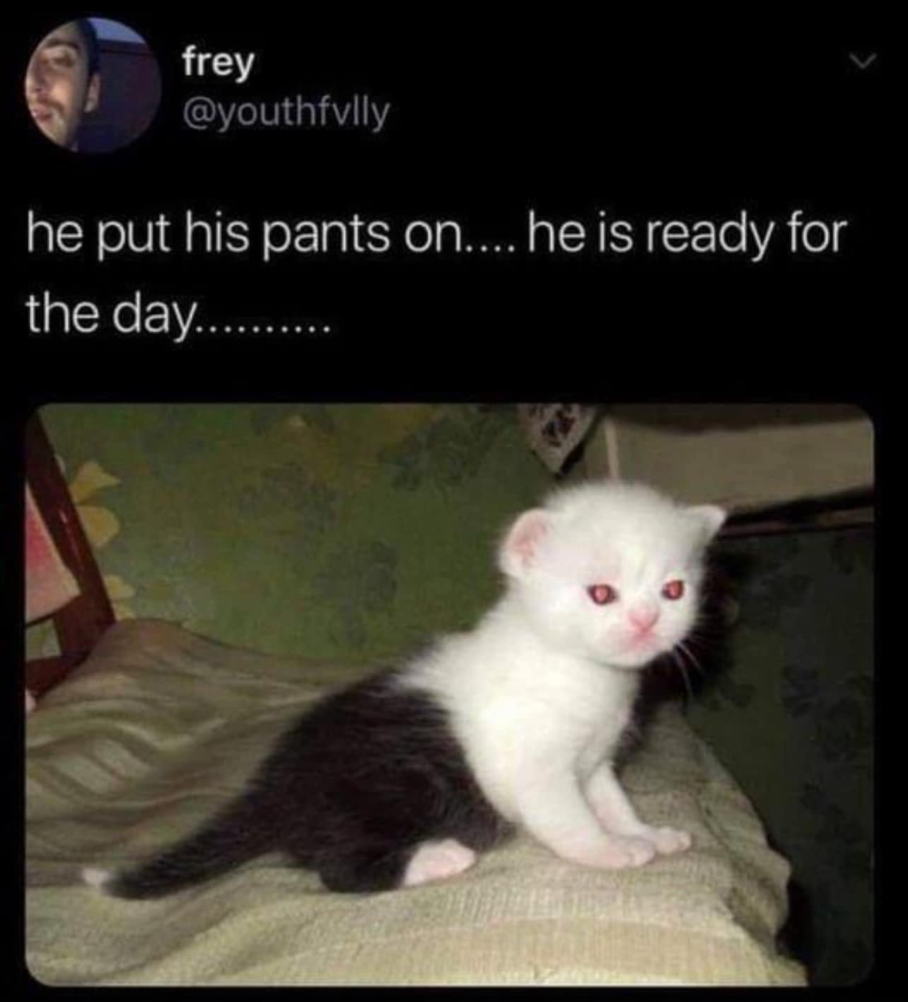 frey @youthfvIly he put his pants on.... he is ready for the day...........