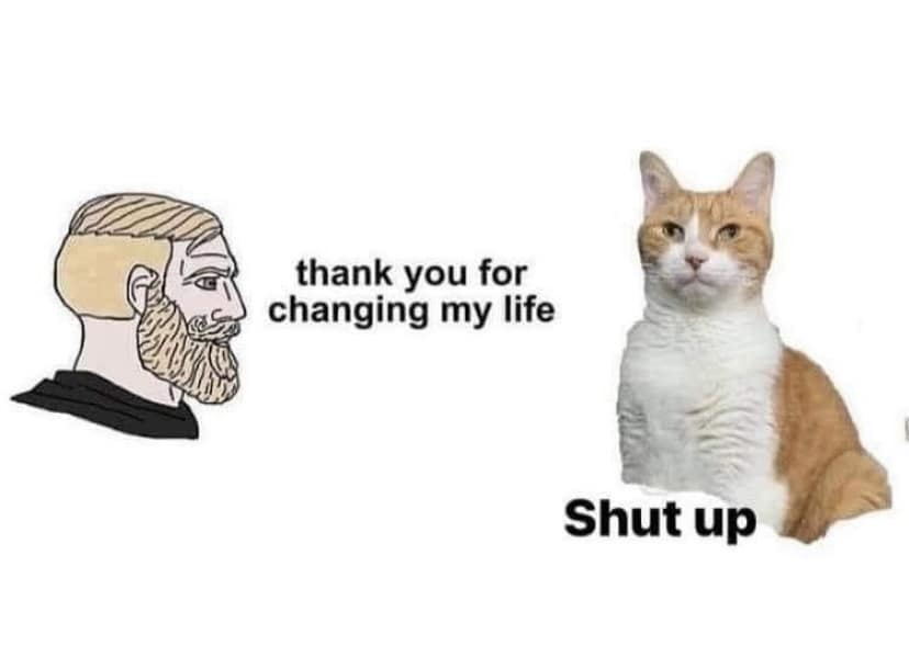 thank you for changing my life Shut up