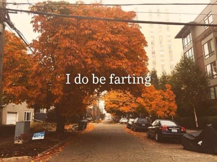 funny memes, funny images, funny pics, funny pictures