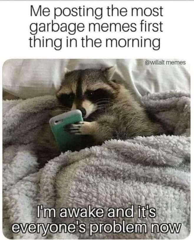 funny pics, funny memes, funny photos, funniest pics