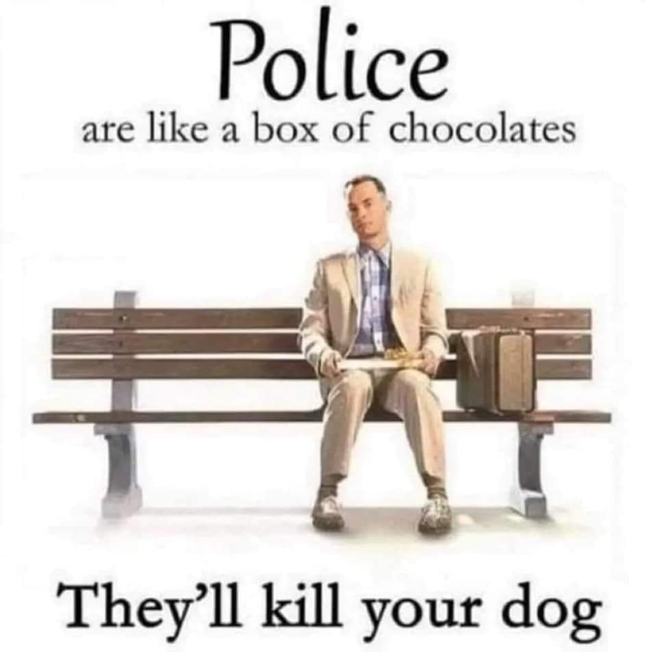 Police are like a box of chocolates They'll kill your dog