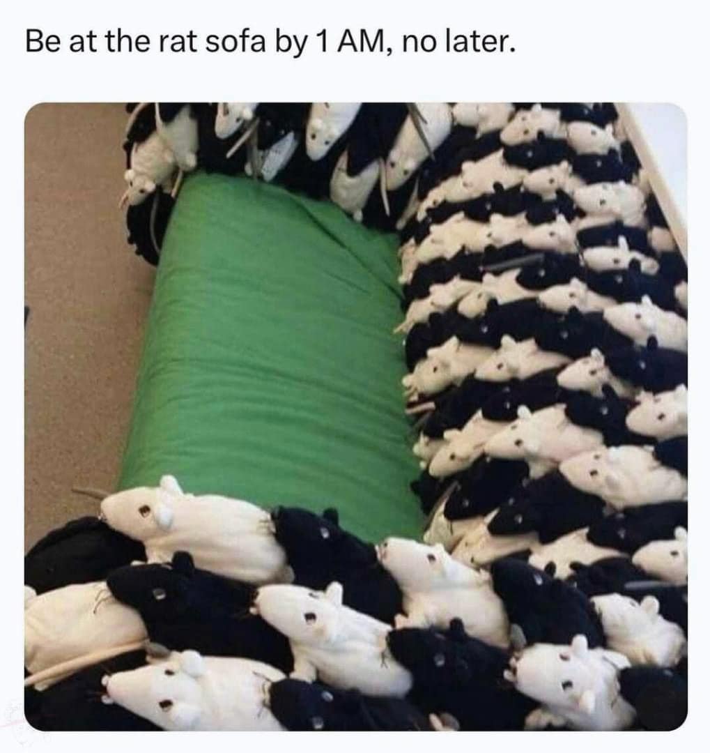 Be at the rat sofa by 1 AM, no later.
