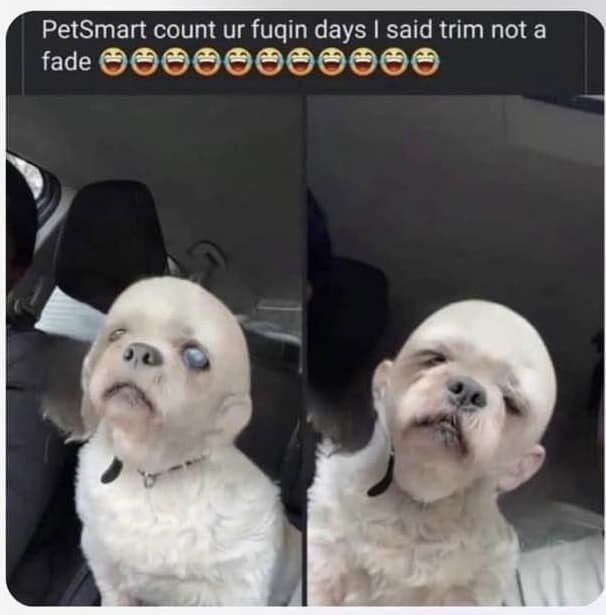 PetSmart count ur fugin days I said trim not a fade