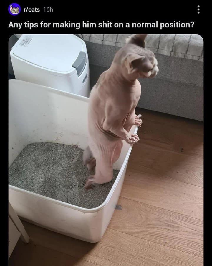 funny reddit posts, funny reddit pictures, reddit memes, funny reddit, reddit humor, amusing reddit pictures, hilarious reddit content