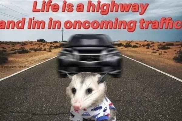 meme dump, funny memes, hilarious memes, lunch break humor, daily memes, internet laughter, meme feast, comedic buffet, laughter bonanza