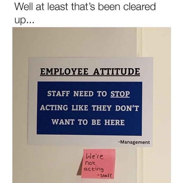 meme dump, funny memes, hilarious memes, lunch break humor, daily memes, internet laughter, meme feast, comedic buffet, laughter bonanza