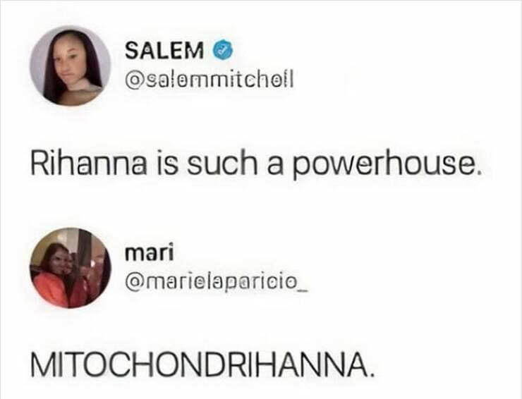 science memes, STEM memes, nerdy memes, educational memes STEM memes, funny science memes, geeky memes educational memes, STEM humor, science humor