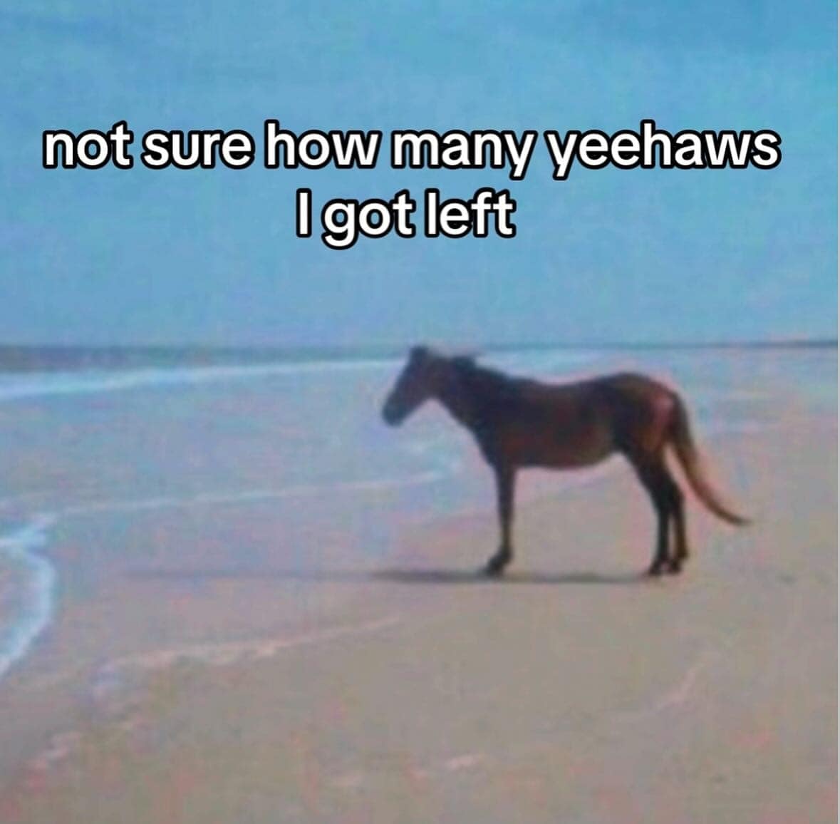 existential memes, emotional memes, philosophical memes, life-questioning memes, cosmic pondering memes, profound memes, meaningful memes, thoughtful humor pics, existential crisis memes, anxious memes, inner turmoil memes, identity questioning jokes