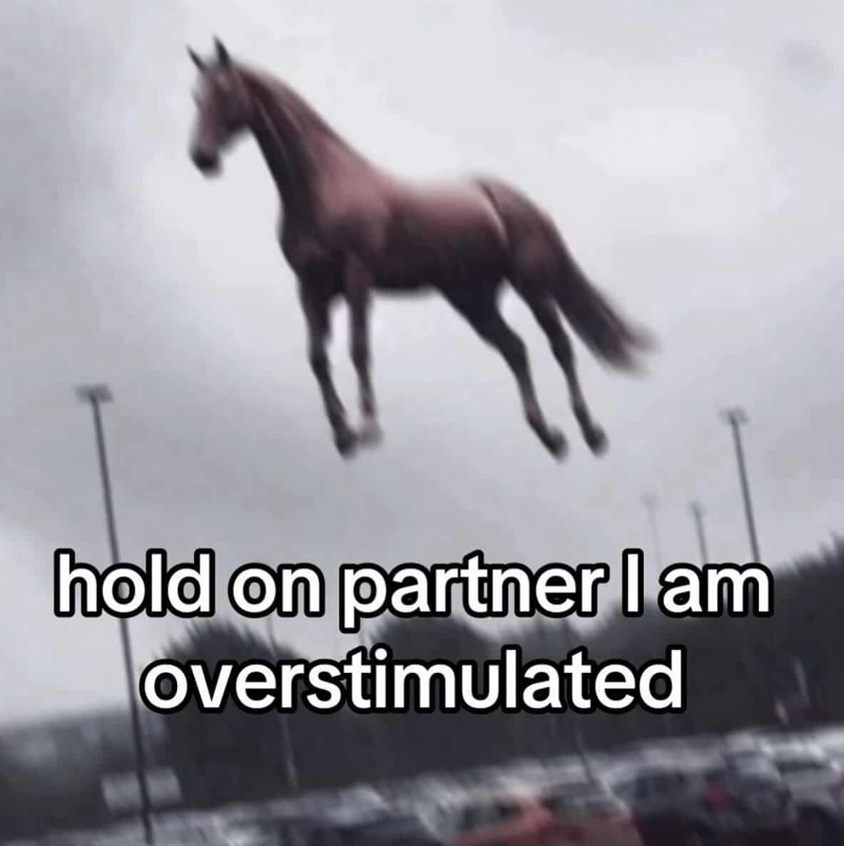 existential memes, emotional memes, philosophical memes, life-questioning memes, cosmic pondering memes, profound memes, meaningful memes, thoughtful humor pics, existential crisis memes, anxious memes, inner turmoil memes, identity questioning jokes