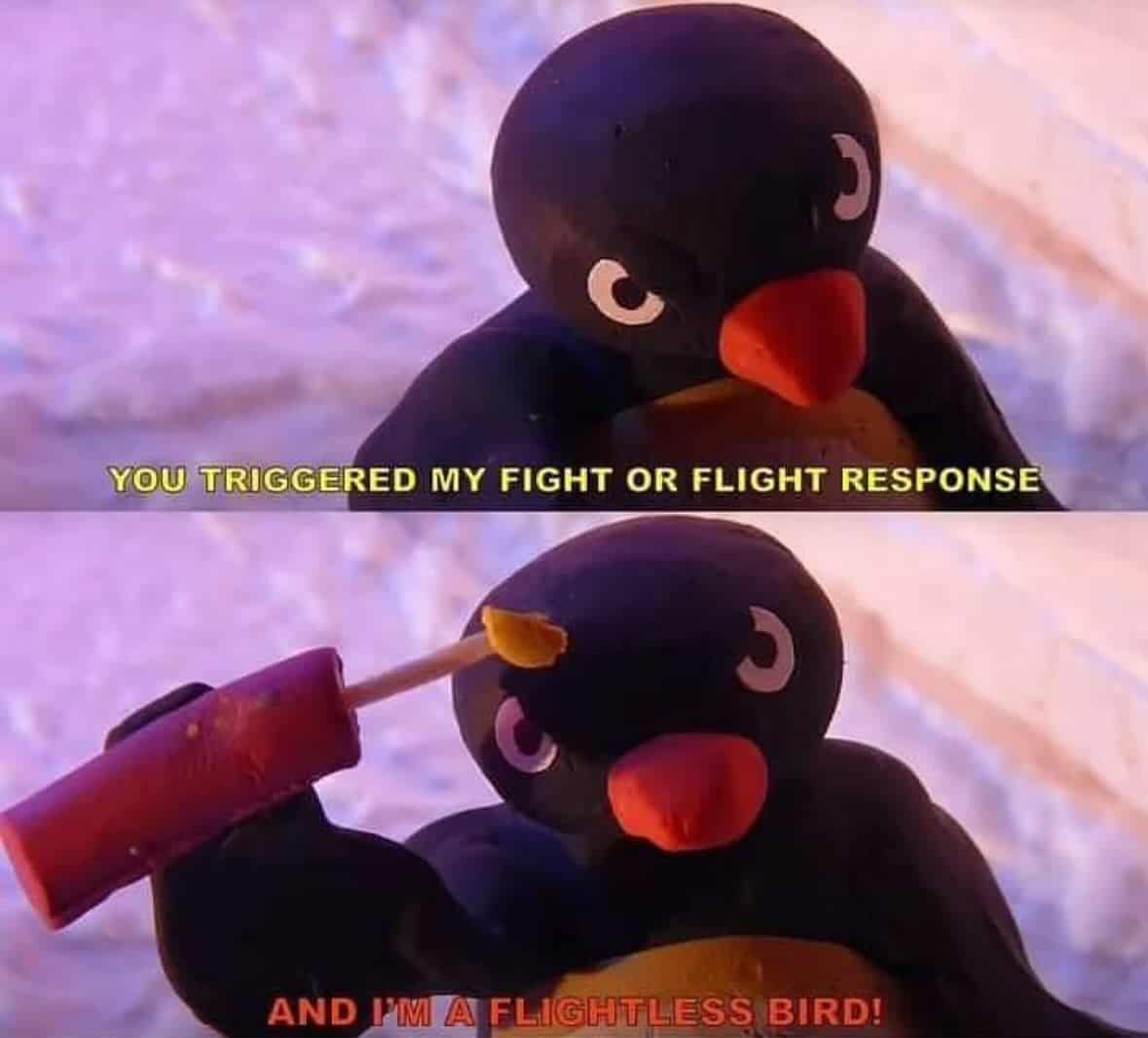 existential memes, emotional memes, philosophical memes, life-questioning memes, cosmic pondering memes, profound memes, meaningful memes, thoughtful humor pics, existential crisis memes, anxious memes, inner turmoil memes, identity questioning jokes