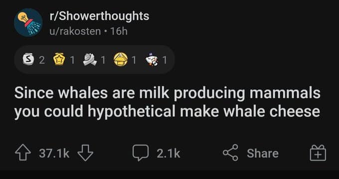 r/Showerthoughts u/rakosten • 16h $ 2 Since whales are milk producing mammals you could hypothetical make whale cheese 37.1k 2.1k Share
