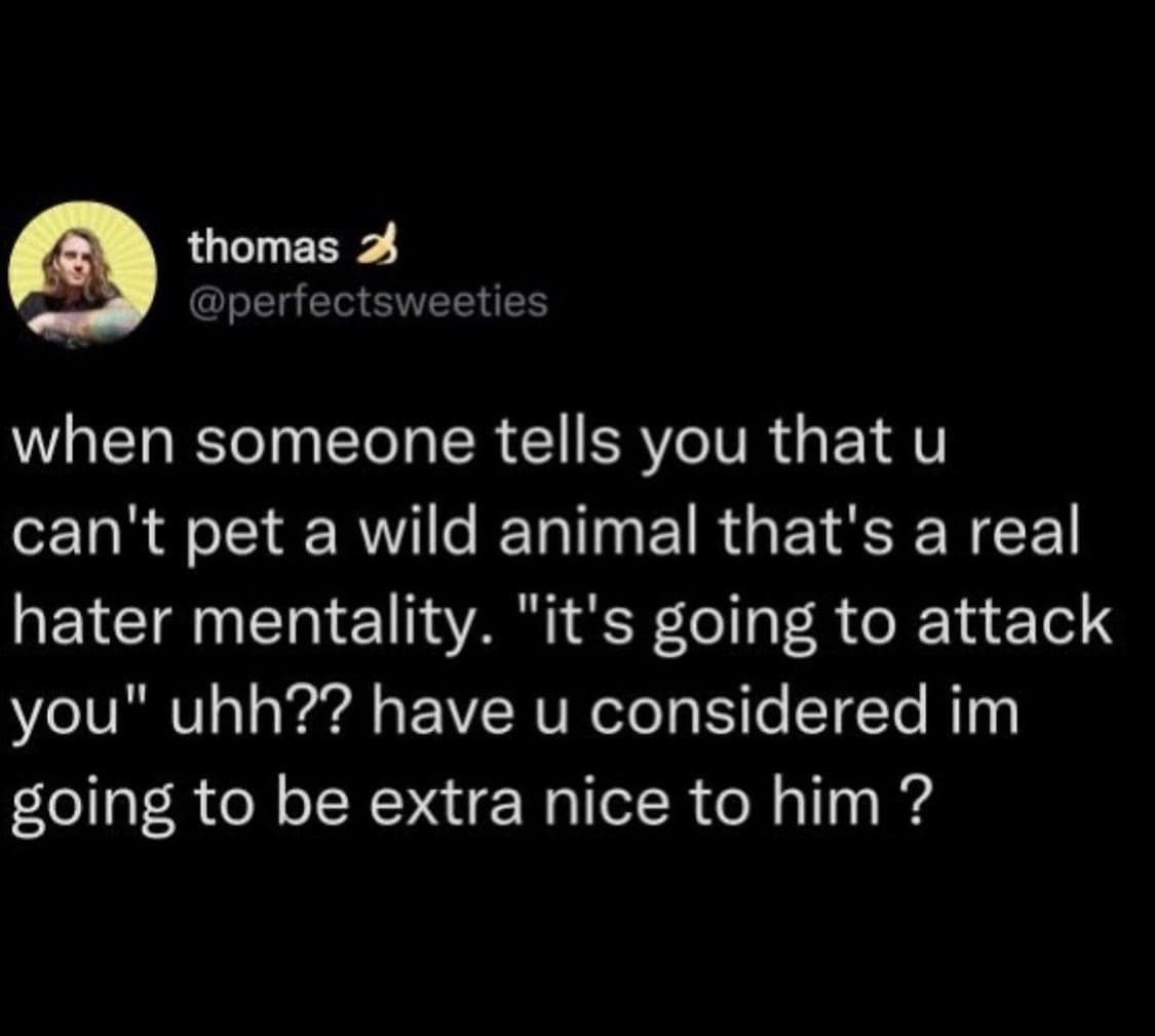 thomas @perfectsweeties when someone tells you that u can't pet a wild animal that's a real hater mentality. "it's going to attack you" uhh?? have u considered im going to be extra nice to him ?