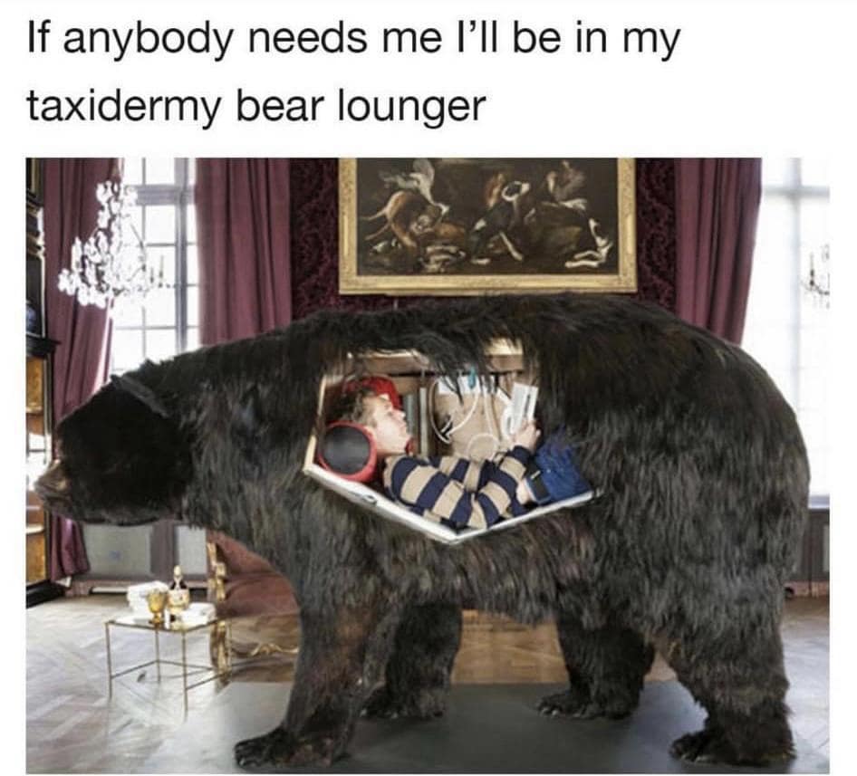 meme dump, funny memes, hilarious memes, meme compilation, meme roundup, meme assortment, amusing images, entertaining visuals, witty graphic jokes most hilarious memes, top humor pics, standout funny scenes, ultimate laugh material best meme collection, prime meme stash, premium humor batch, choice comedic set