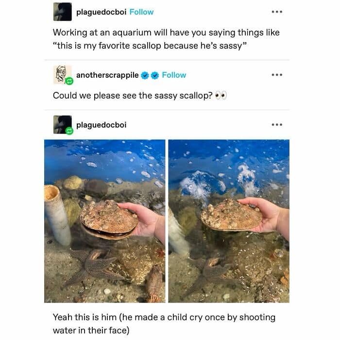 meme dump, funny memes, hilarious memes, meme collection, meme compilation, meme roundup, humorous memes, amusing memes, laugh-out-loud memes, side-splitting memes, uproarious memes