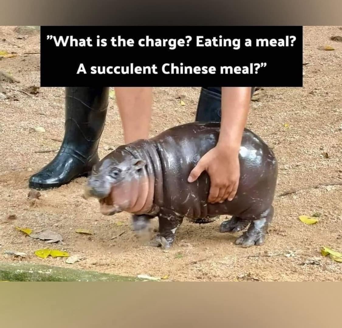 meme dump, funny memes, hilarious memes, meme collection, meme compilation, meme roundup, humorous memes, amusing memes, laugh-out-loud memes, side-splitting memes, uproarious memes
