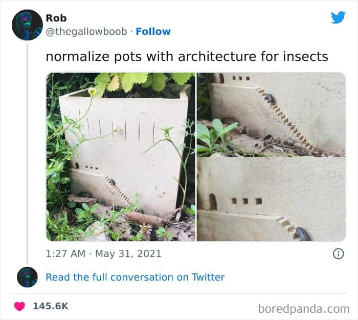 normalize pots with architecture for insects