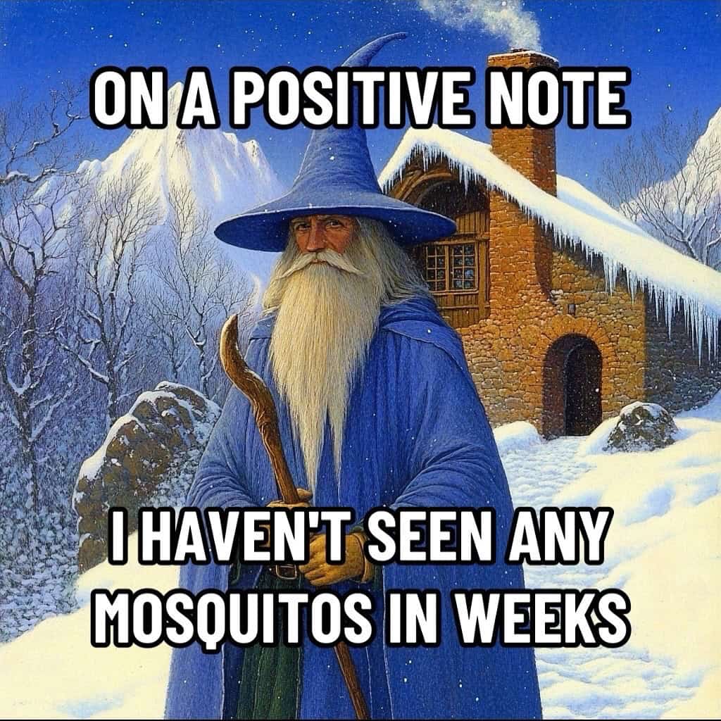 wizard memes, sorcerer memes, mage memes, magical memes, fantasy satire, Magic memes, spellcasting memes, enchanted memes, mystical memes