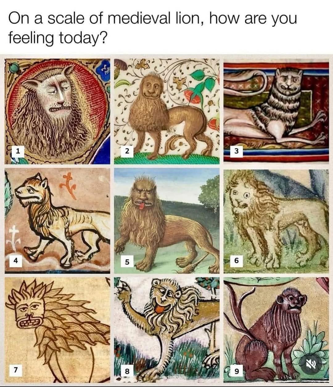 classic memes, vintage memes, viral tweets, old net jokes, comedic throwback, popular memes, mainstream comedic hits, widely recognized internet humor, large-scale laugh pieces, timeless memes, enduring comedic images, perennially funny references, ageless net jokes
